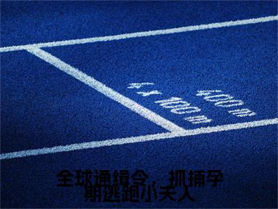 全球通缉令，抓捕孕期逃跑小夫人（时序颜鹿）全文免费阅读无弹窗_时序颜鹿最新小说精彩推荐