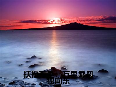 扶摇万里：万里乘风独向东（贺婉）全文免费阅读无弹窗大结局_扶摇万里：万里乘风独向东全文免费完结版阅读（贺婉）