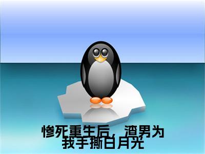 惨死重生后，渣男为我手撕白月光小说全文（傅司南虞星禾）全文免费阅读无弹窗大结局-（傅司南虞星禾）无弹窗免费阅读大结局