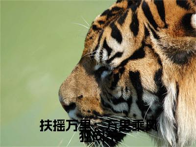 扶摇万里：万里乘风独向东全文免费阅读无弹窗（小说全文免费阅读）贺婉最新章节列表
