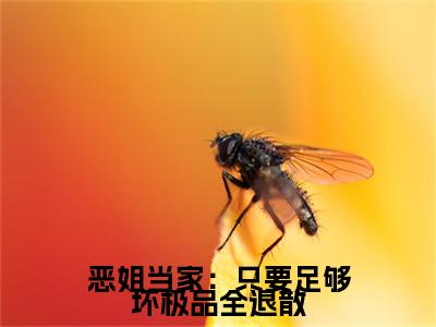 （百里铮闻苏蓉蓉）是什么小说-恶姐当家：只要足够坏极品全退散（百里铮闻苏蓉蓉）免费阅读大结局最新章节列表_笔趣阁