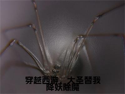 穿越西游，大圣替我降妖除魔全集免费阅读无弹窗_言卿完结小说榜单阅读（言卿小说）