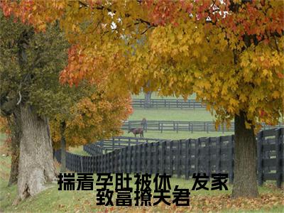 揣着孕肚被休，发家致富撩夫君结局_（冷清霖柳恬恬）揣着孕肚被休，发家致富撩夫君最新章节列表_笔趣阁