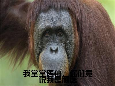 我堂堂医仙，你们竟说我是庸医在线阅读无弹窗_江漓娆最新章节列表_笔趣阁