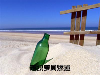 抖音高赞小说宋织萝周燃述在线阅读周燃述宋织萝新上现代言情小说推荐