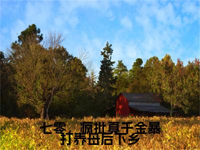 苏安陆振廷（七零，疯批真千金暴打养母后下乡）小说最新章节-七零，疯批真千金暴打养母后下乡全文免费阅读无弹窗大结局