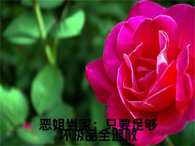 恶姐当家：只要足够坏极品全退散百里铮闻苏蓉蓉全文免费阅读_恶姐当家：只要足够坏极品全退散无弹窗最新章节