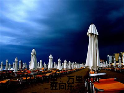 贺婉（扶摇万里：万里乘风独向东）小说在线阅读-最新小说扶摇万里：万里乘风独向东（贺婉）全文阅读