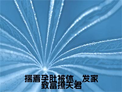 揣着孕肚被休，发家致富撩夫君小说:（揣着孕肚被休，发家致富撩夫君）全文免费阅读无弹窗大结局_冷清霖柳恬恬小说:揣着孕肚被休，发家致富撩夫君最新章节列表