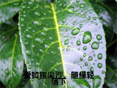 爱如指尖沙，随缘轻落下（靳屹舟夏晴天）全文免费阅读-（靳屹舟夏晴天无弹窗阅读）最新章节小说免费阅读