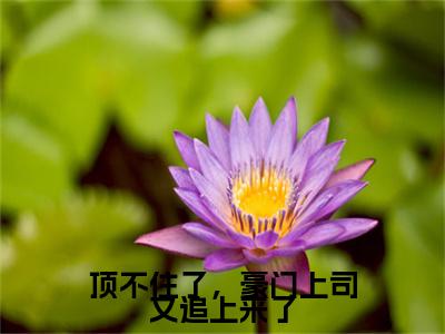 江柠谢景珩（顶不住了，豪门上司又追上来了）全文免费阅读无弹窗大结局_江柠谢景珩免费阅读无弹窗最新章节列表_笔趣阁