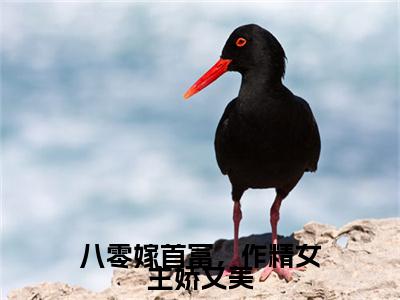 江月席博煜（八零嫁首富，作精女主娇又美）全文免费阅读无弹窗大结局-八零嫁首富，作精女主娇又美（江月席博煜）小说全文免费阅读最新章节列表