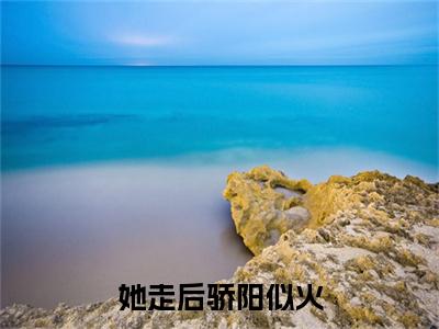 主角是柳如烟齐墨的小说-她走后骄阳似火全文无弹窗免费阅读