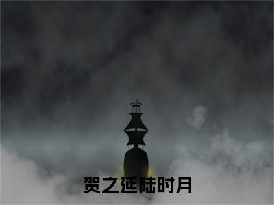 贺之延陆时月（陆时月贺之延小说）全文免费阅读无弹窗大结局_贺之延陆时月全文免费阅读_笔趣阁