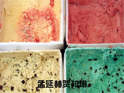孟延赫贺知琳小说（孟延赫贺知琳）全文免费阅读无弹窗大结局_孟延赫贺知琳全文免费完结版阅读（孟延赫贺知琳）