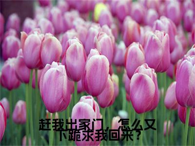 赶我出家门，怎么又下跪求我回来？全本小说无弹窗阅读-赶我出家门，怎么又下跪求我回来？（陆青云）精彩热门小说