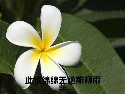 此恨绵绵无绝期柳雨菲（白子墨柳雨菲）全文免费阅读无弹窗大结局_白子墨柳雨菲_笔趣阁