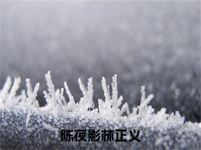 陈夜影林正义（林正义陈夜影）全文免费阅读无弹窗大结局_（林正义陈夜影）免费阅读无弹窗最新章节列表