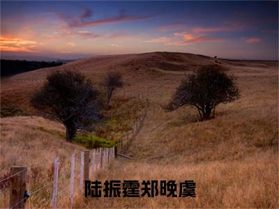 陆振霆郑晚虞小说（陆振霆郑晚虞）全文免费读无弹窗大结局_（陆振霆郑晚虞小说免费陆振霆郑晚虞阅读）