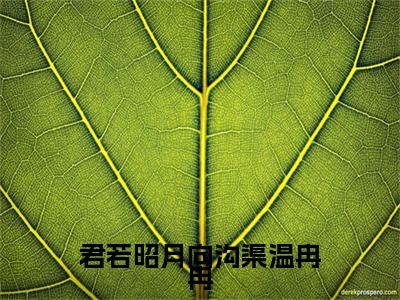 君若昭月向沟渠温冉冉（林裴然温冉冉）全文免费阅读无弹窗大结局_（君若昭月向沟渠温冉冉）最新章节列表_笔趣阁（林裴然温冉冉）