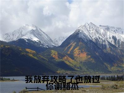 小说（我放弃攻略了也放过你谢黯杰）林昕悦谢黯杰全文免费阅读无弹窗-林昕悦谢黯杰小说全文在线赏析（今日更新最新章节）