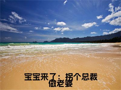 小说宝宝来了：拐个总裁做老婆（乔安然程昱颂全文免费阅读）完结阅读_乔安然程昱颂全文免费阅读免费看全文