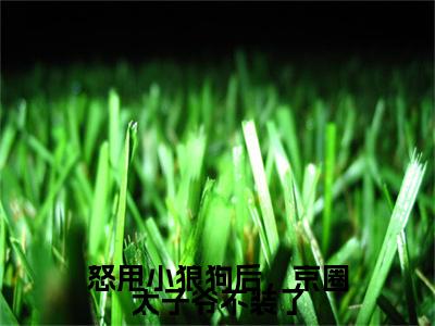 怒甩小狼狗后，京圈太子爷不装了全文免费阅读无弹窗大结局-黎久微全文在线阅读