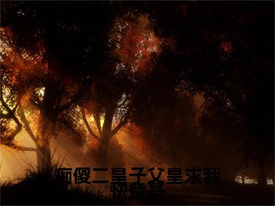 痴傻二皇子父皇求我快登基全文免费阅读_（云柏武小说）痴傻二皇子父皇求我快登基言情小说在线阅读笔趣阁（云柏武）