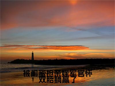 被闺蜜抢亲嫁军官怀双胎躺赢了（陆观山虞梨）无弹窗小说免费阅读_被闺蜜抢亲嫁军官怀双胎躺赢了最新章节免费阅读_笔趣阁