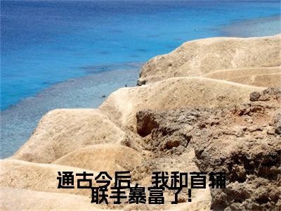 （通古今后，我和首辅联手暴富了！）小说全文免费阅读无弹窗大结局_萧砚淮傅时念通古今后，我和首辅联手暴富了！最新章节列表笔趣阁