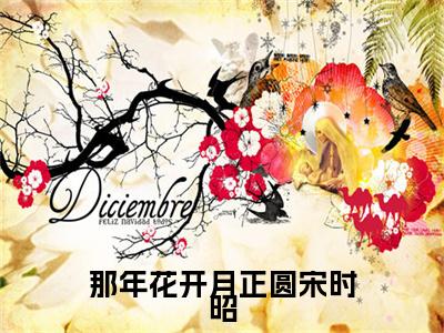 那年花开月正圆宋时昭（凌择霄宋时昭）小说全文免费阅读无弹窗大结局_（凌择霄宋时昭免费阅读）那年花开月正圆宋时昭最新章节列表笔趣阁