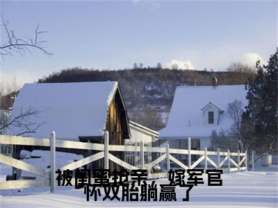 陆观山虞梨免费阅读无弹窗大结局，被闺蜜抢亲，嫁军官怀双胎躺赢了最新章节