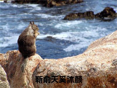 靳俞天奚沐颜（奚沐颜靳俞天小说）在线阅读全文-奚沐颜靳俞天小说免费阅读完结版全文
