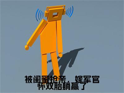 （被闺蜜抢亲，嫁军官怀双胎躺赢了）陆观山虞梨新书热荐免费小说-陆观山虞梨小说全文完整版阅读