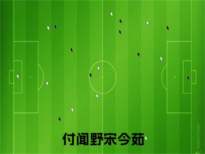 （付闻野宋今茹）小说全文免费阅读无弹窗大结局_宋今茹付闻野付闻野宋今茹最新章节列表笔趣阁