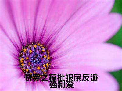 江晚小说大结局免费阅读-快穿之疯批狠戾反派强制爱抖音新上热文分享江晚