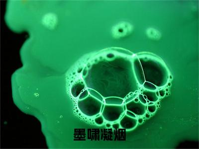 凝烟墨啸全文（墨啸凝烟）完整版小说阅读_墨啸凝烟全本列表免费笔趣阁（凝烟墨啸）