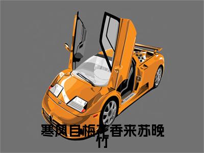 寒风自梅花香来苏晚竹全网首发最新小说-苏晚竹全文在线免费阅读