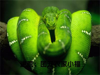 苏欢在哪免费看苏欢结局是什么（逃荒：团宠农家小福宝）小说无弹窗免费阅读