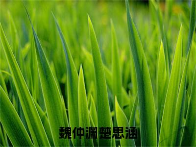 魏仲渊楚思涵（楚思涵魏仲渊全文在线阅读）-魏仲渊楚思涵免费阅读