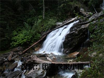 （逃荒：团宠农家小福宝）苏欢小说全文免费阅读无弹窗大结局_苏欢（逃荒：团宠农家小福宝）最新章节列表笔趣阁