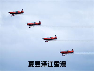 夏昱泽江雪漫在线阅读（江雪漫夏昱泽）全文免费阅读无弹窗大结局_江雪漫夏昱泽最新章节列表笔趣阁（夏昱泽江雪漫）