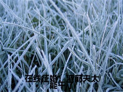 在线征婚！渣前夫太能干了全文免费阅读无弹窗大结局_（在线征婚！渣前夫太能干了小说）沈知意周时樾在线免费阅读
