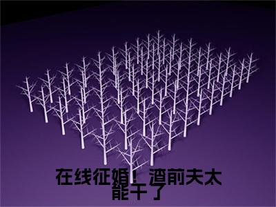 沈知意周时樾（在线征婚！渣前夫太能干了）小说全文-沈知意周时樾无弹窗免费阅读
