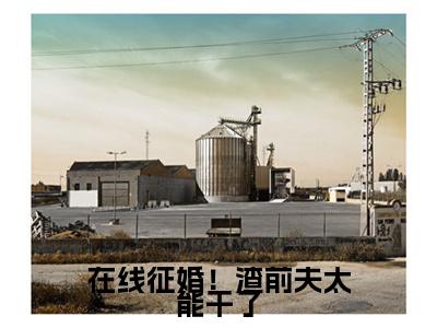 沈知意周时樾（在线征婚！渣前夫太能干了）全文免费阅读无弹窗_在线征婚！渣前夫太能干了最新小说_笔趣阁（沈知意周时樾）
