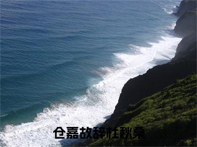 仓嘉故辞杜秋桑全文免费阅读无弹窗大结局_仓嘉故辞杜秋桑全文阅读_笔趣阁（杜秋桑仓嘉故辞）