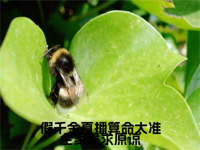 陆浅（假千金直播算命太准全家跪求原谅）全文免费阅读无弹窗大结局_假千金直播算命太准全家跪求原谅全文在线阅读