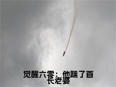 觉醒六零：他踹了首长老婆小说全文免费阅读_（觉醒六零：他踹了首长老婆）叶宥齐顾秋澜小说最新章节列表笔趣阁