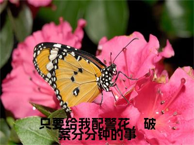 只要给我配警花，破案分分钟的事热门小说目录推荐郝顺全文完整版阅读
