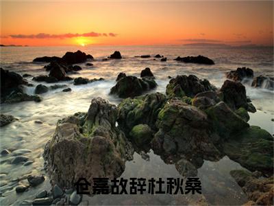 仓嘉故辞杜秋桑（杜秋桑仓嘉故辞）全文免费阅读无弹窗大结局_仓嘉故辞杜秋桑最新章节列表（杜秋桑仓嘉故辞）